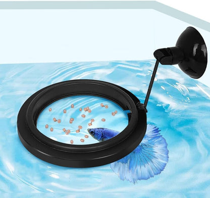 Dbeans Flourithing fish feeding ring blue circle front view floating aquarium food station