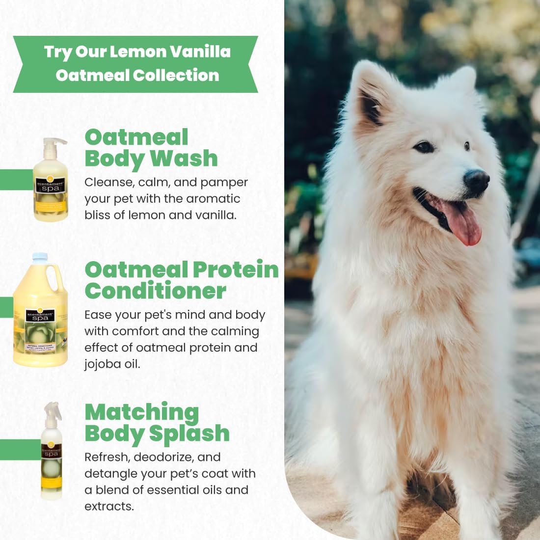 One gallon large bottle of hypoallergenic dog and cat protein conditioner