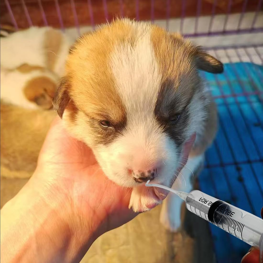 Suction bulb syringe component from the Yiqianhome small animal kit for clearing airways.