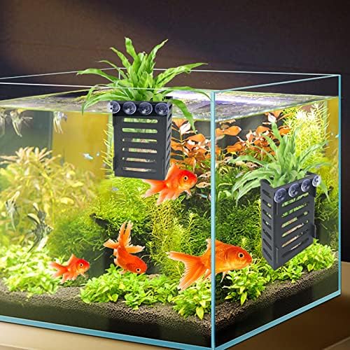 Slotted aquatic plant holder basket promoting healthy water circulation.