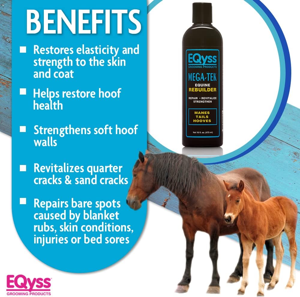 Equine hoof rebuilder gel applied to dry cracked horse hooves for strength.