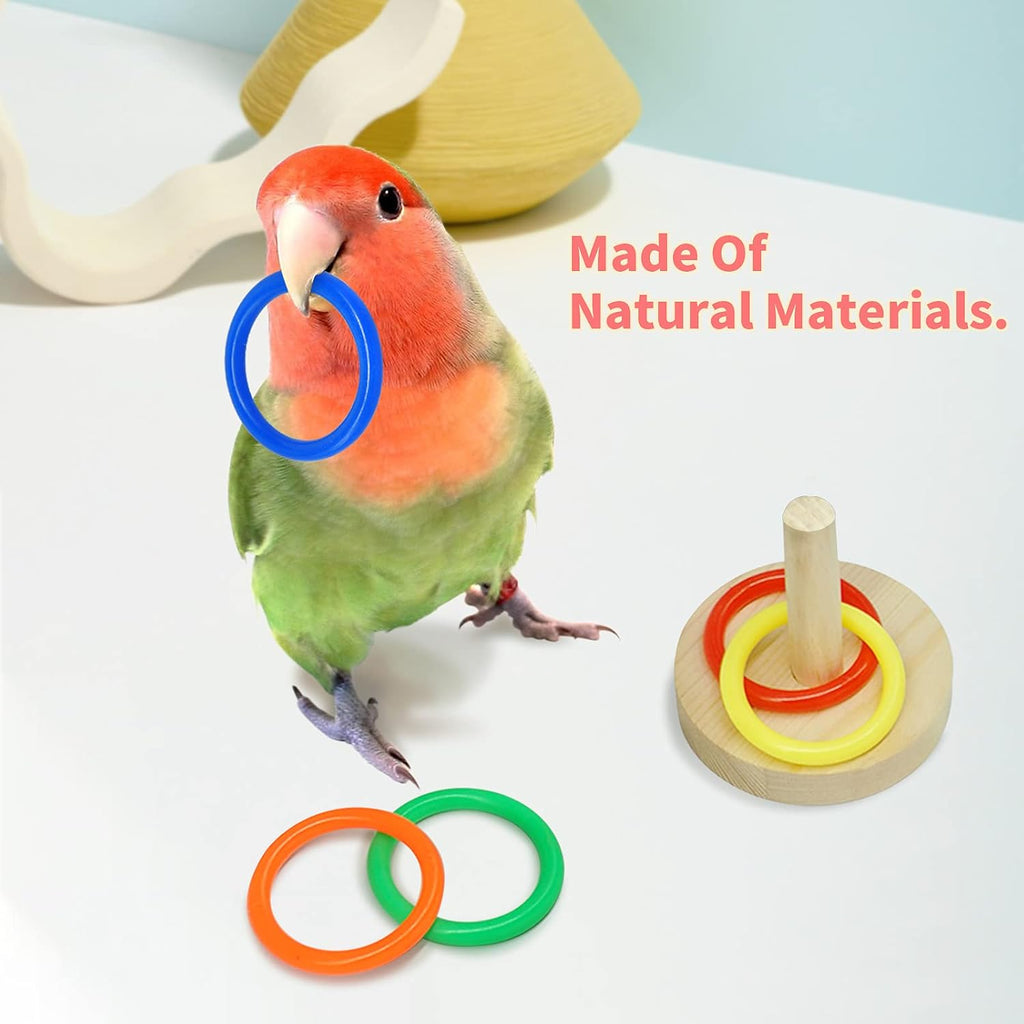 Colorful parrot skateboard and mini basketball hoop accessories