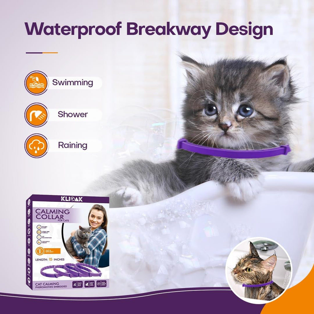 Cat wearing a breakaway anti-stress collar while lounging peacefully indoors.