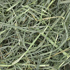 Oxbow Orchard Grass Hay authentic product display