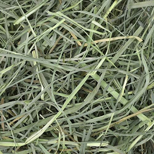 Oxbow Orchard Grass Hay authentic product display