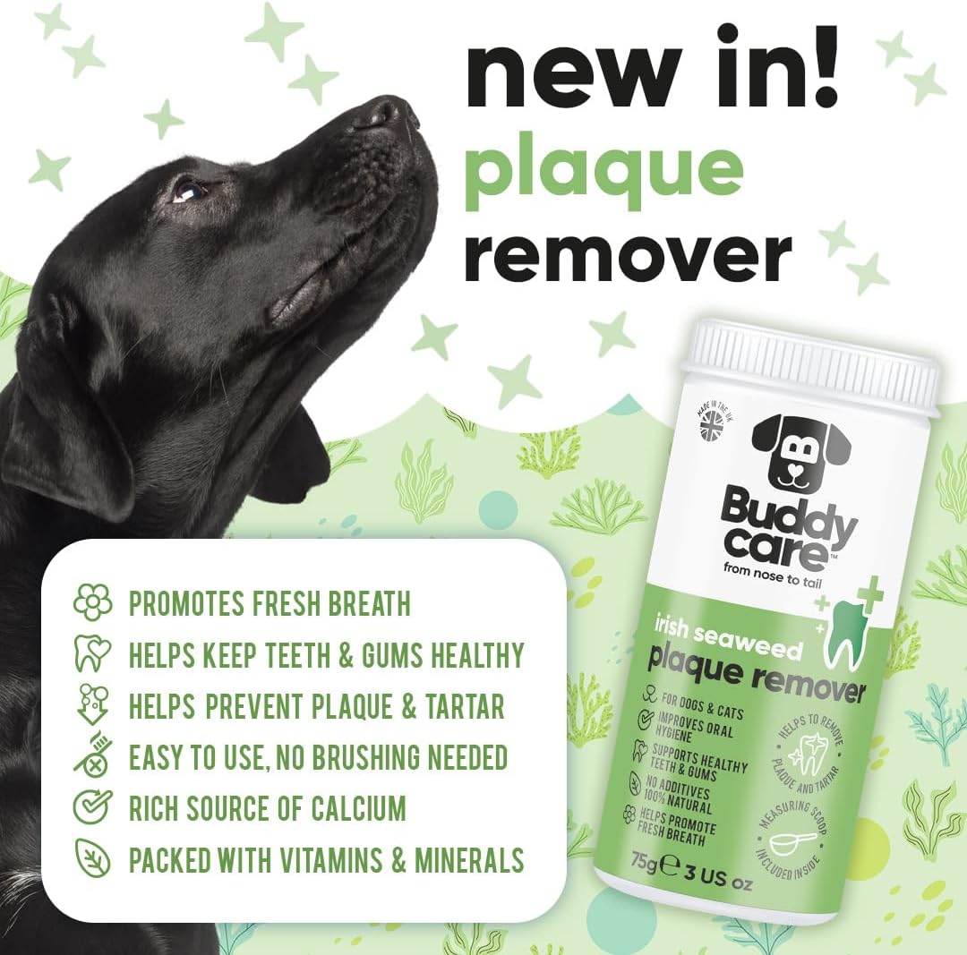 Back label details of Buddycare Irish seaweed breath freshener for cats and dogs.