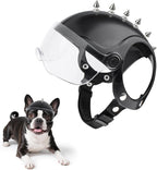 Small breed dog wearing Billionchains helmet for outdoor ride