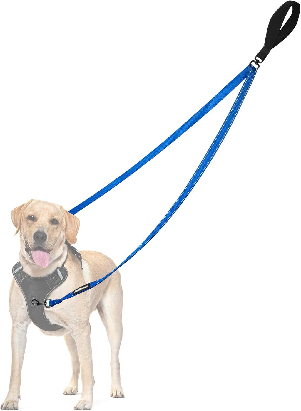 PetBonus Two Point Control Dog Leash, Works with No Pull Harnesses, No Tangle Training Leashes, Soft Padded and Reflective Walking Lead, Converts to Single Lead for Medium Large Dogs (Black) - Image 9
