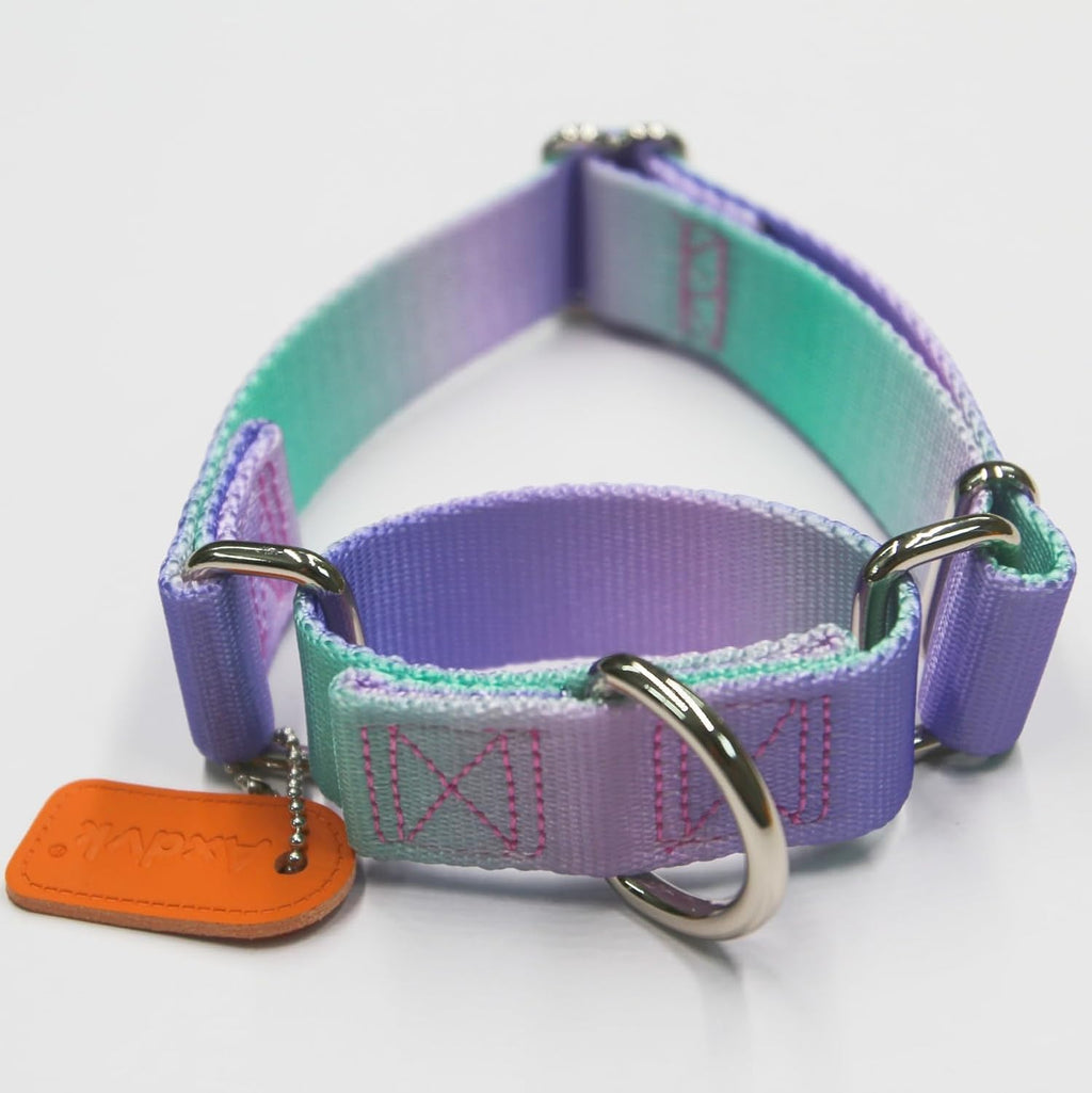 Axdvk anti escape training pet collar showing heavy duty silver metal hardware