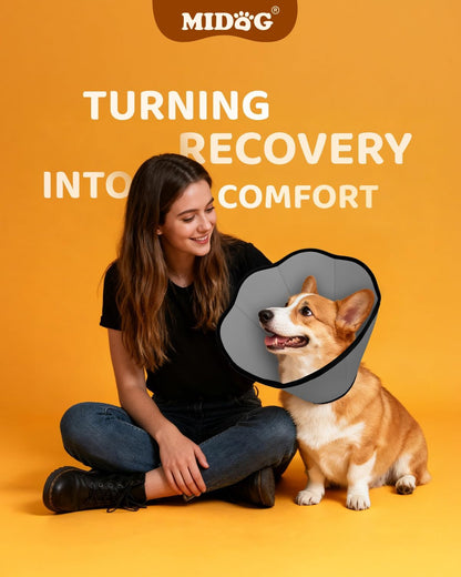 Authentic MIDOG imported pet recovery cone packaging and product details