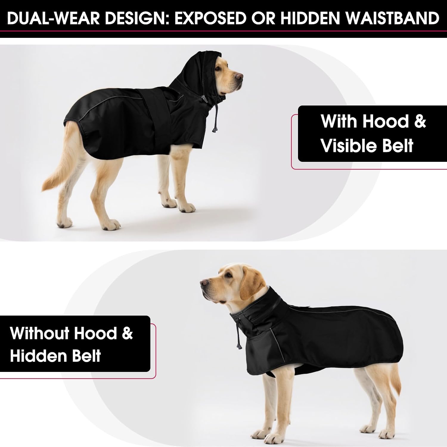 Premium large dog rain gear featuring built-in leash hole