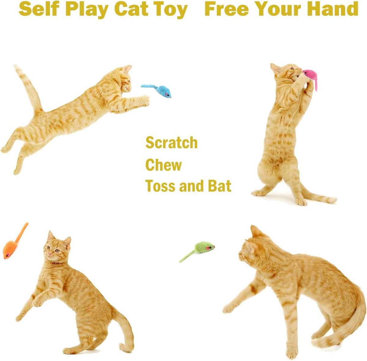 Packaging layout of the twelve piece imported MeoHui feline amusement kit