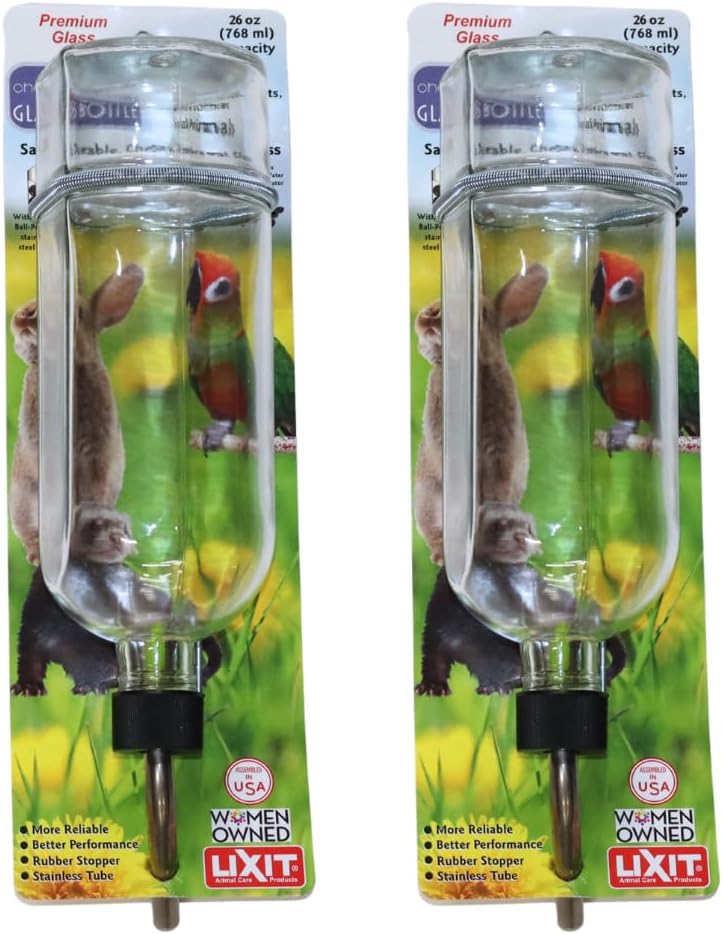 Lixit clear glass water bottle full angle shot