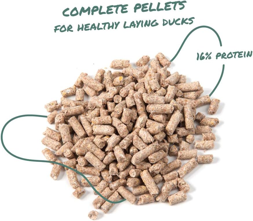 Close up of Manna Pro duck feed pellets texture