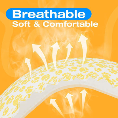 Small dog wearing yellow Pet Soft disposable diaper with tail hole