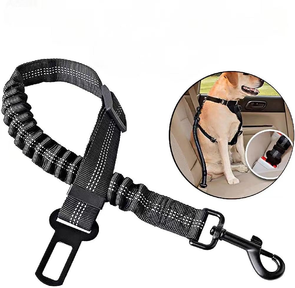 Reflective safety leash for pets showing elastic bungee detail