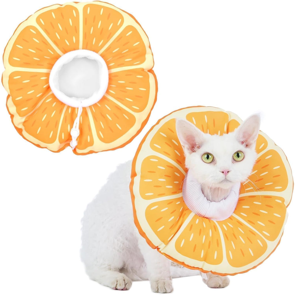 Hoopttay cat cone collar soft medium front view on a cat