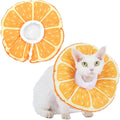 Hoopttay cat cone collar soft medium front view on a cat
