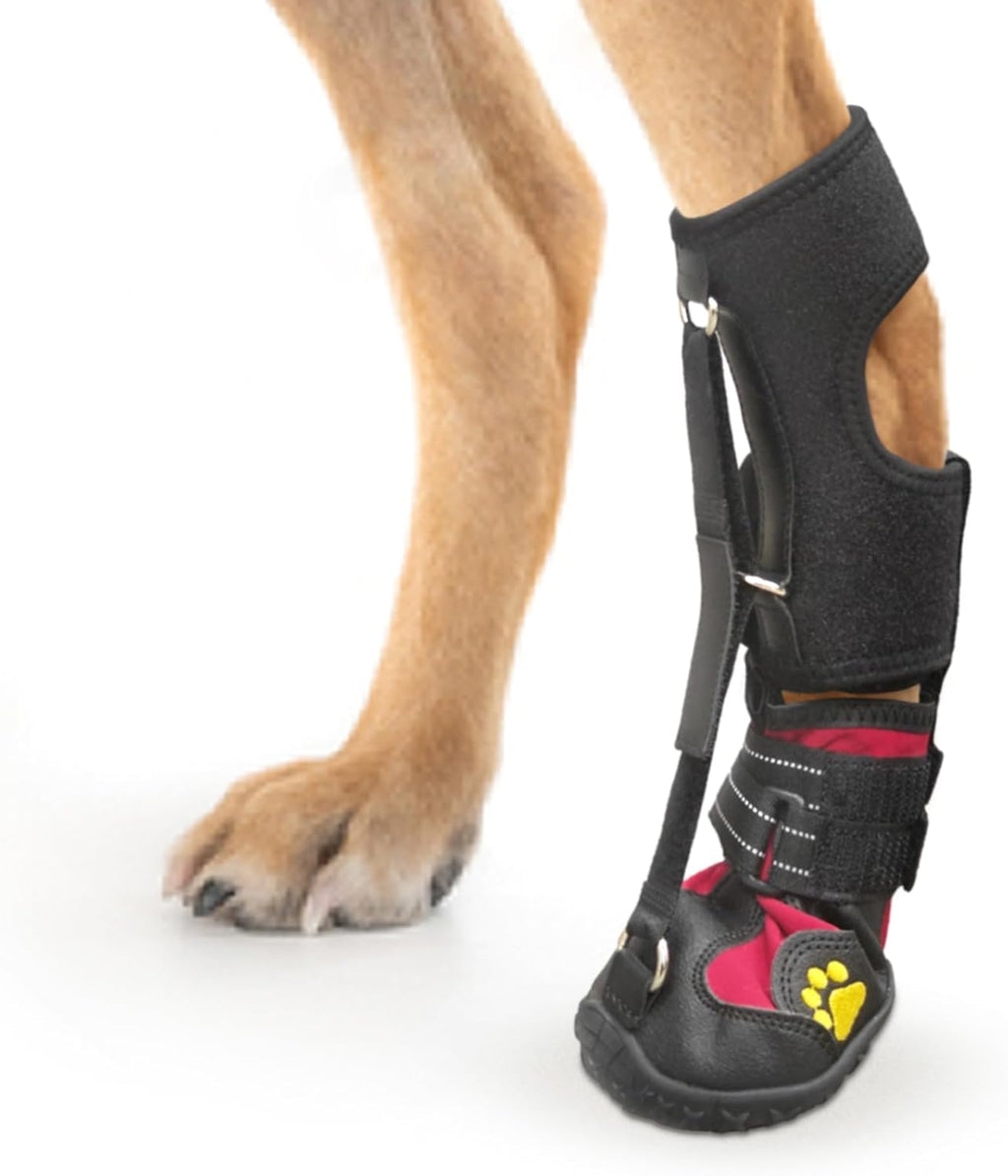 Strap-On Drop Foot Brace (No Knuckling Boot Brace) for Dogs- Corrective Dog Shoes to Safely Lift Toes for Foot Issues, Arthritis, and improving Walking gait in Dogs,Patent Pending(M) - Image 9