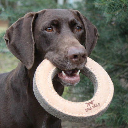 Packaging detail of Tall Tails ring dog toy