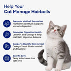 Pack of two Aniwell hairball management soft chews for indoor cats.