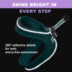 Matching five foot lightweight cat walking leash with reflective stitching close up view.