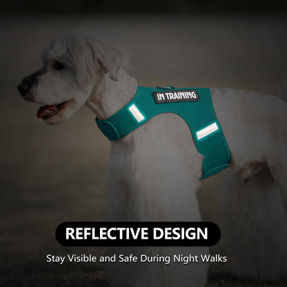 Marrs green extra extra small dog vest with sturdy metal leash D-ring