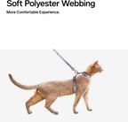 Included matching 120 centimeter leash paired with Pidan cat harness