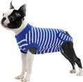 IDOMIK dog recovery suit front view on a small pup
