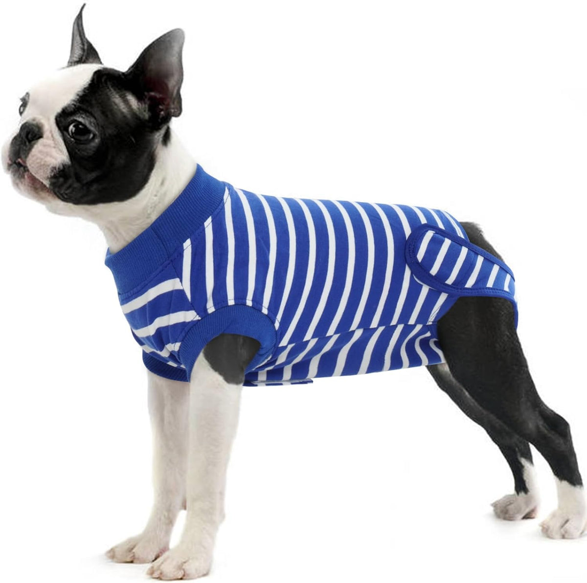 IDOMIK dog recovery suit front view on a small pup