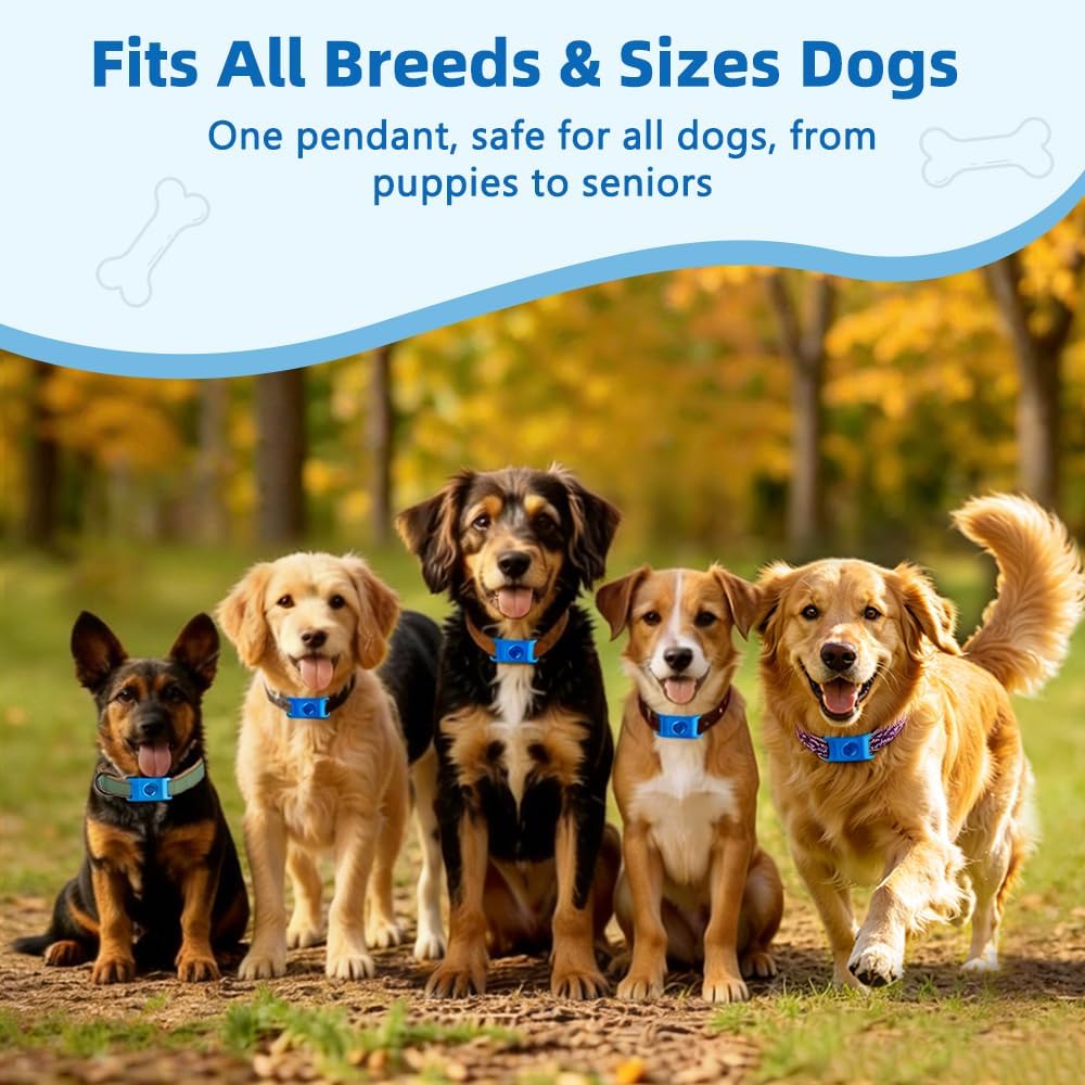 Detailed view of natural flea prevention pendant for dogs