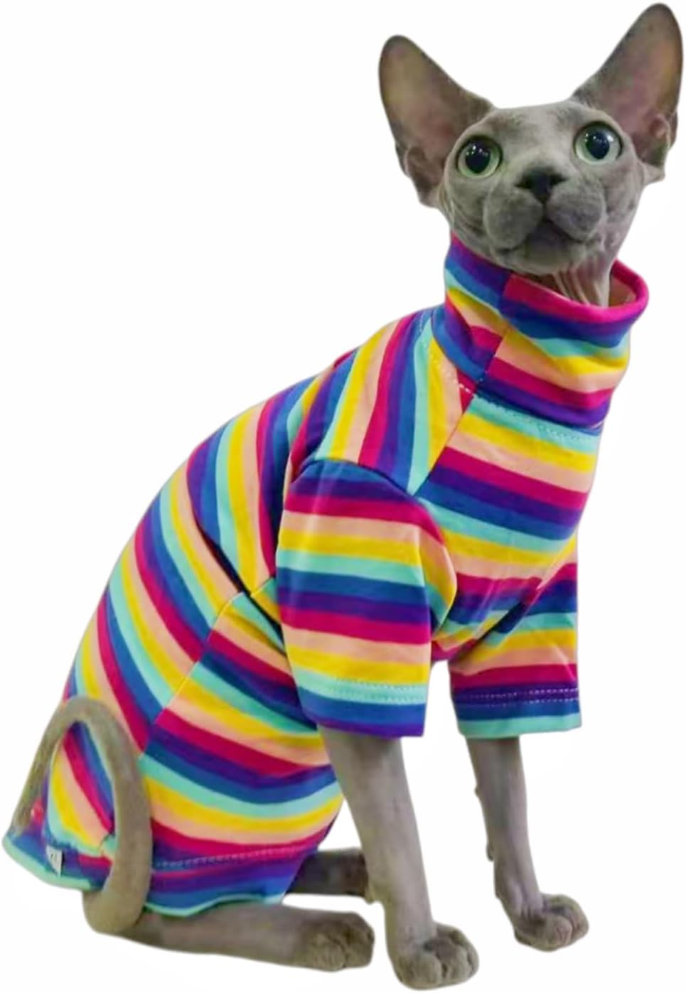 Small breed cat jumping while wearing Kitipcoo cotton shirt