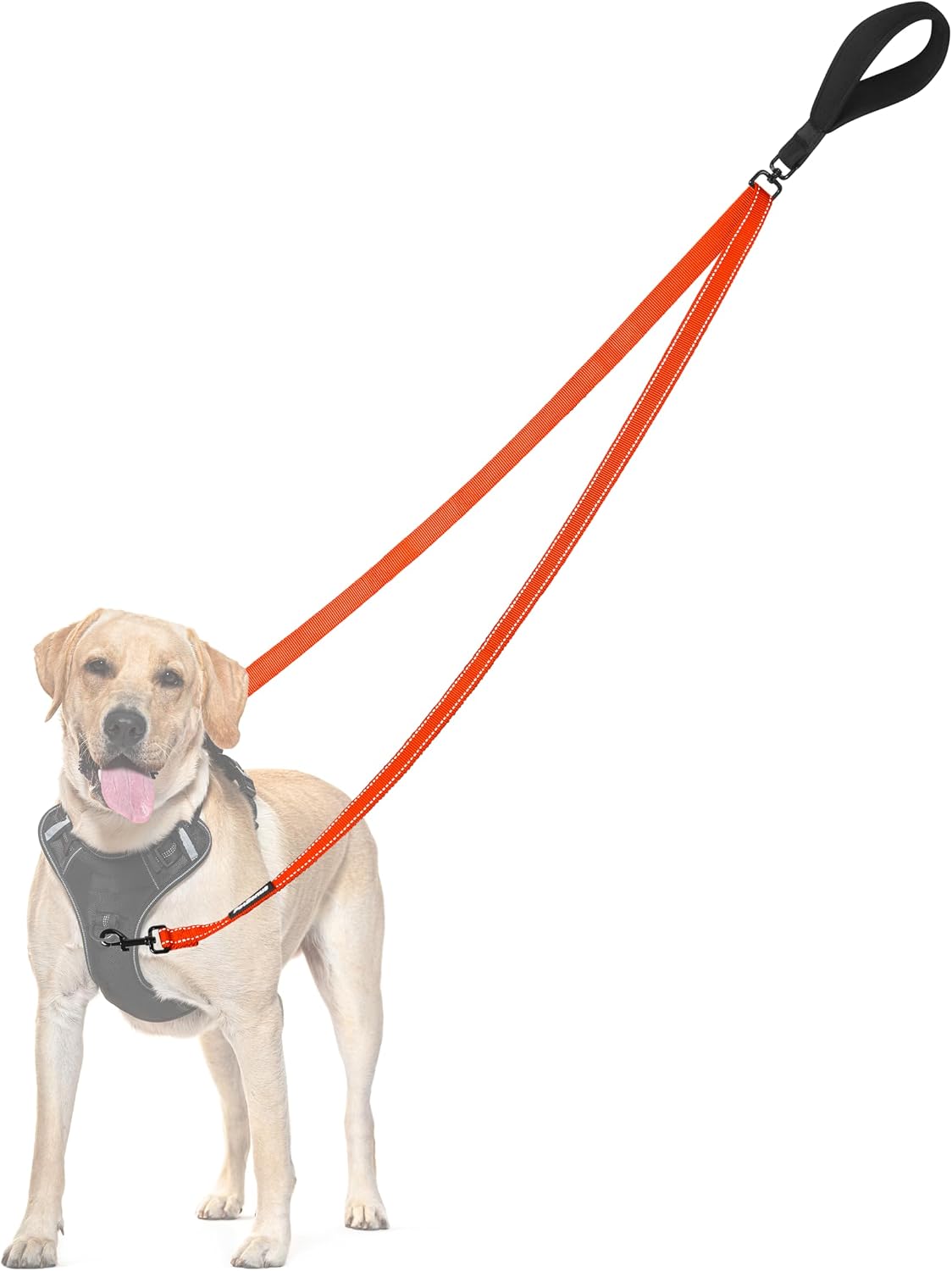 PetBonus Two Point Control Dog Leash, Works with No Pull Harnesses, No Tangle Training Leashes, Soft Padded and Reflective Walking Lead, Converts to Single Lead for Medium Large Dogs (Black) - Image 12