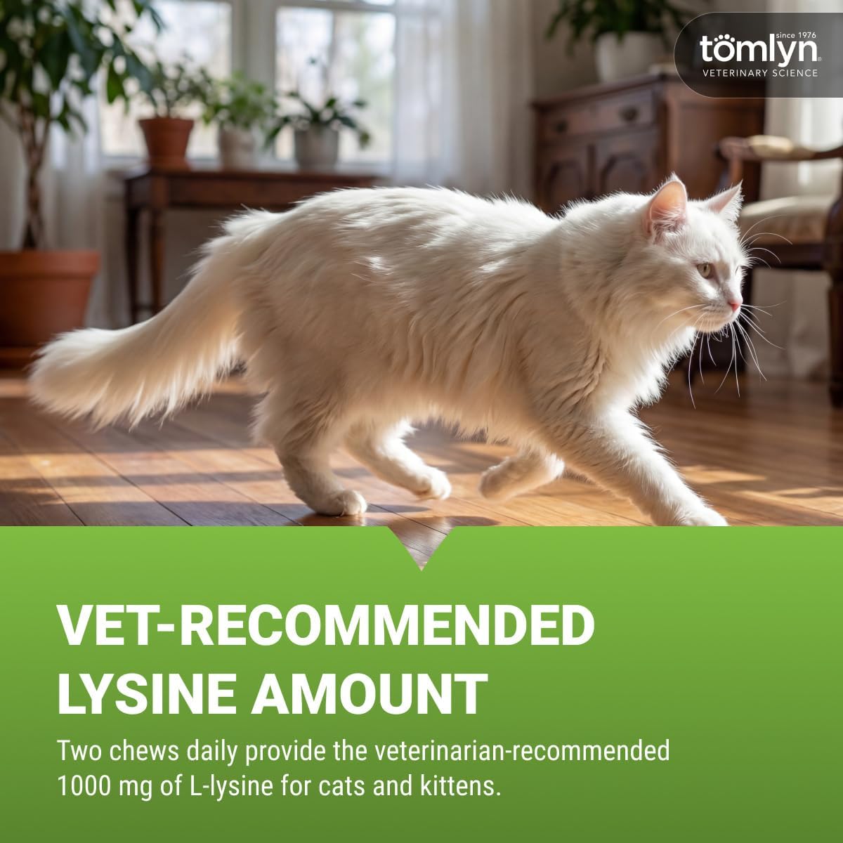 Tomlyn fish-flavored cat supplement chews texture