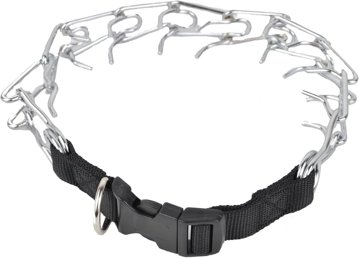 Downtown Pet Supply professional dog training pinch collar back view showing link connection