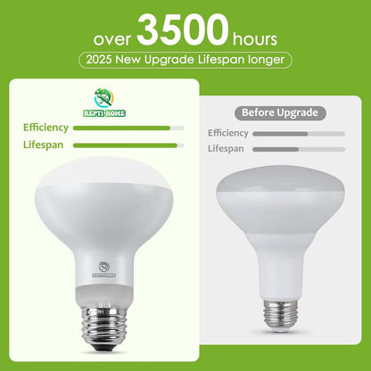 Close up of the standard screw base and durable glass design of the REPTI HOME thermal bulb.