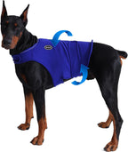 Harbyel dog thunder shirt flat lay display