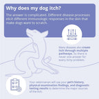 Unscented miconazole and chlorhexidine formula bottle for veterinary skin care.