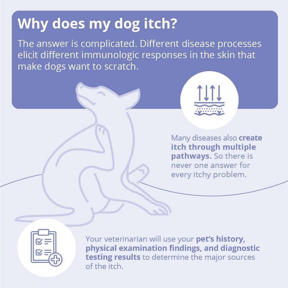 Close up of MiconaHex+Triz antimicrobial shampoo bottle