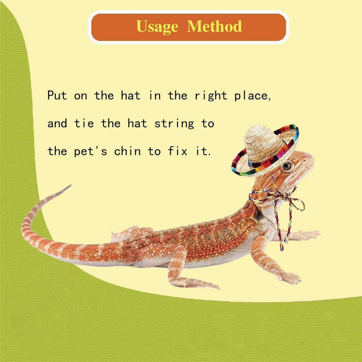 Small hamster posing with a miniature bohemian style pet sombrero