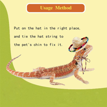 Small hamster posing with a miniature bohemian style pet sombrero
