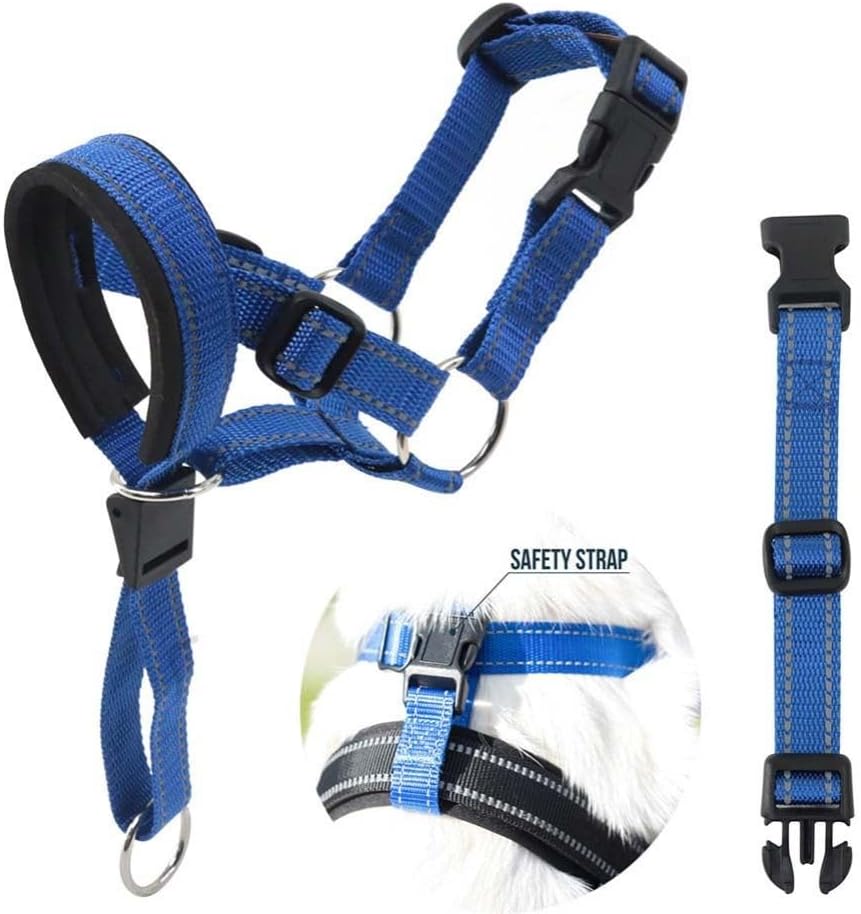 Barkless reflective blue head collar highlighting the night safety stitching on the webbed straps
