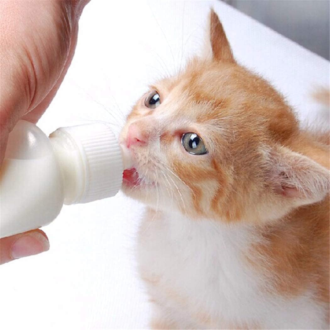 Close up view of the food grade silicone mini nipples included in the Xuanda pet feeding kit.