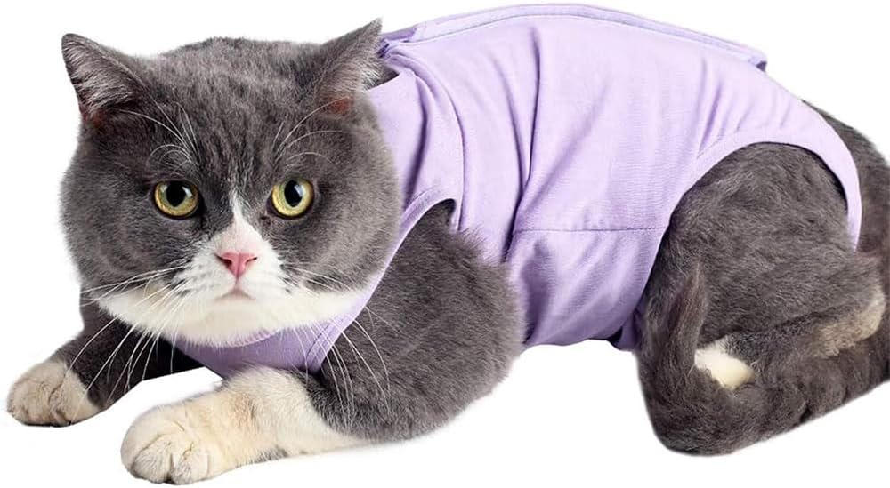Comfortable surgical onesie for cats after neutering