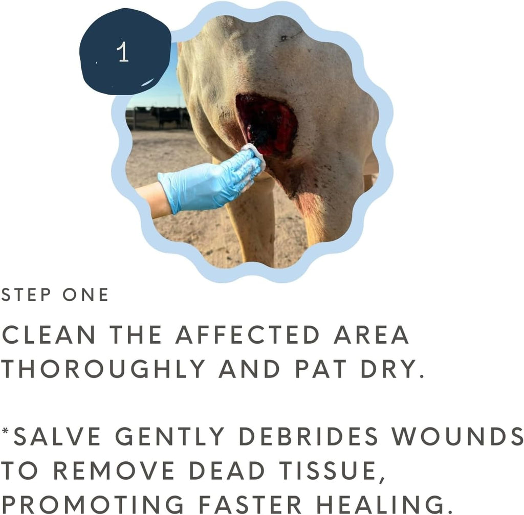 Authentic USA imported wound care salve for horses