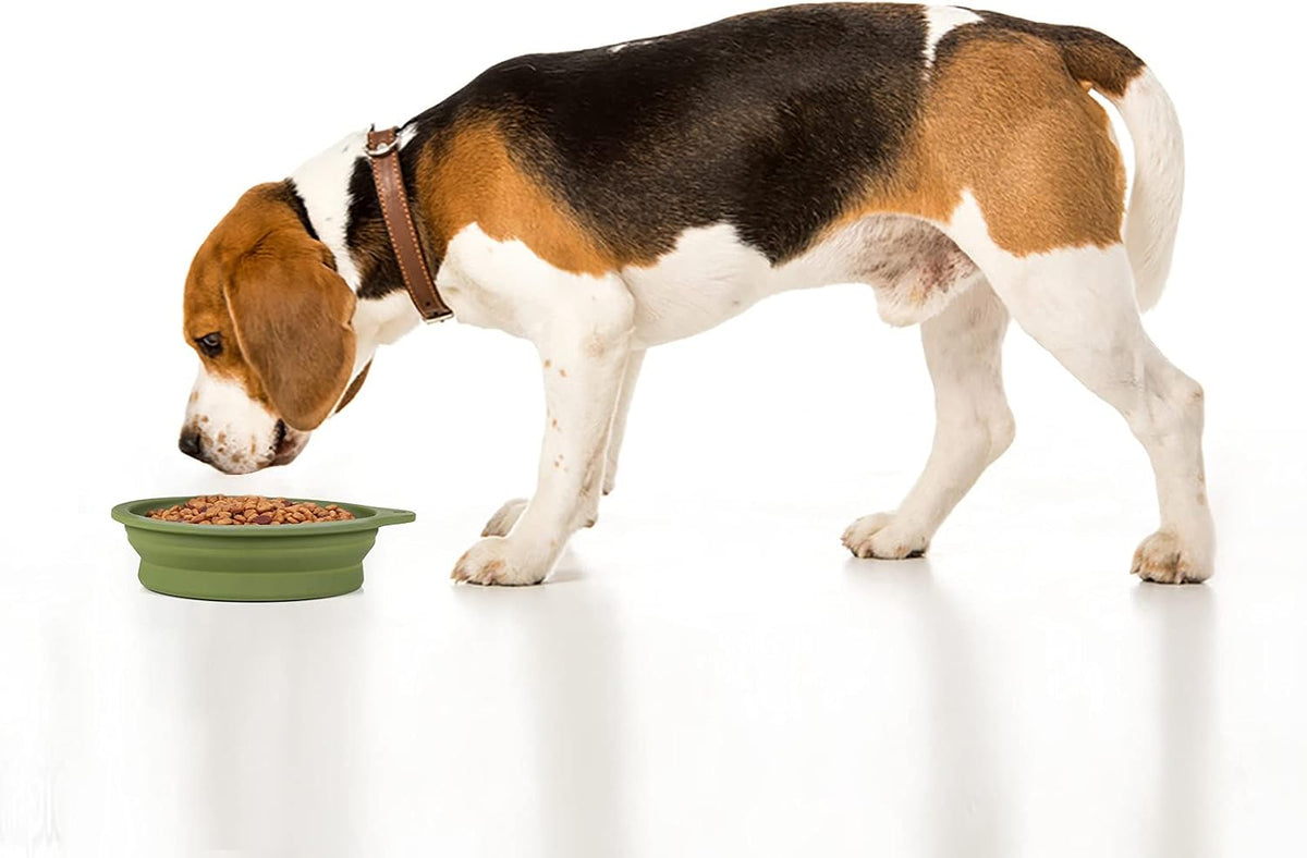 SLSON two pack collapsible pet bowls being washed easily without plastic rims