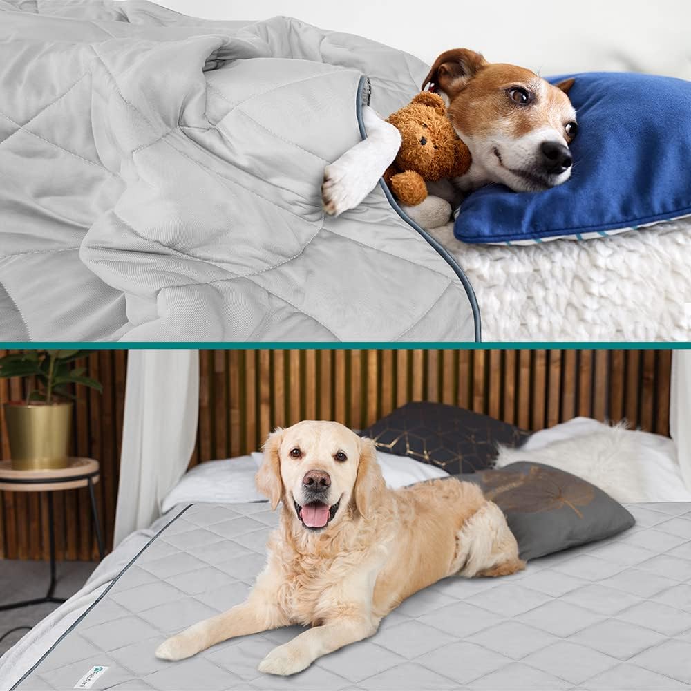 Small dog sleeping on PetAmi grey cooling pet throw