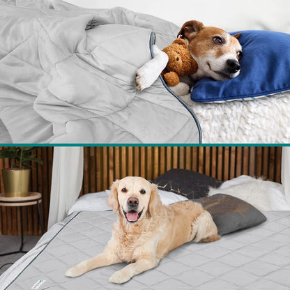 Small dog sleeping on PetAmi grey cooling pet throw