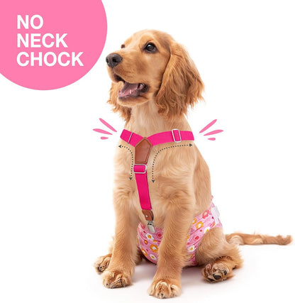 Adjustable elastic dog suspenders with durable metal clips and leather cross patch
