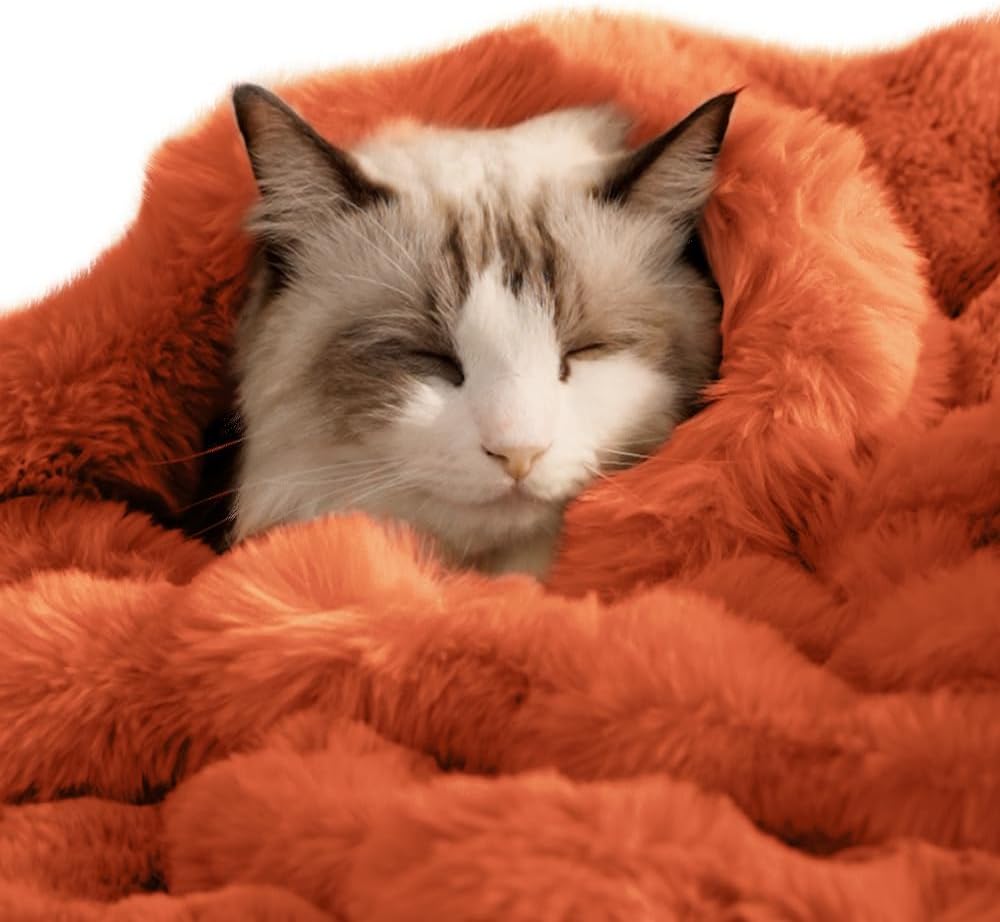 SOMAHE Cat Blanket, Reversible Sherpa & Bubble Fleece Pet Throw, Ultra-Soft Plush for Indoor Cats, Machine Washable, Anti-Static, Warm & Cozy, 22"x18" Inch White - Image 10